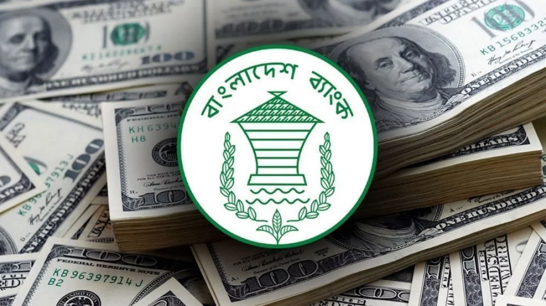 কোরবানির আগে রেমিট্যান্সে চাঙা দেশ, ২০ দিনে এলো ২৬২ কোটি ডলার