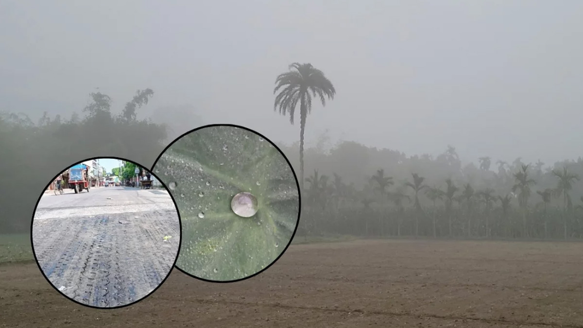 চুয়াডাঙ্গায় দাবদাহে গলছে সড়কের পিচ, একই দিনে কুড়িগ্রামে ঘনকুয়াশা