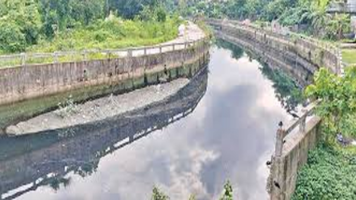 হালদার মাছে ক্ষুদ্র প্লাস্টিক কণা, বাড়ছে শঙ্কা