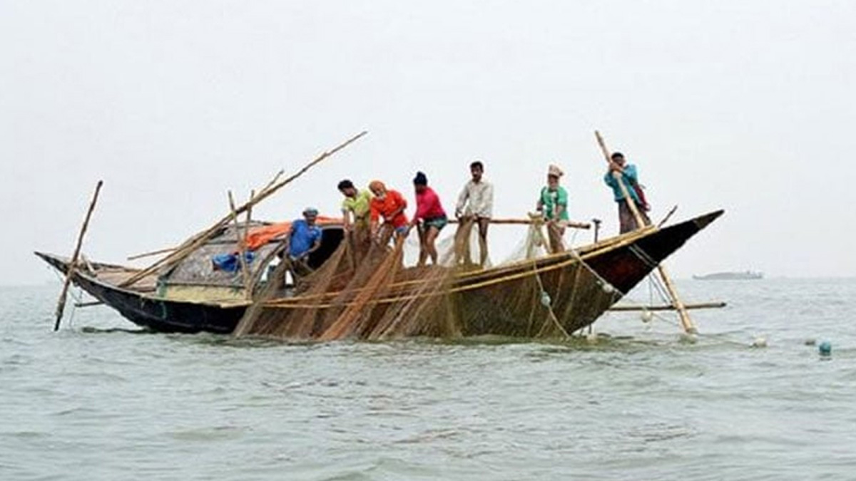 নিষেধাজ্ঞা সত্ত্বেও পয়লা বৈশাখ ঘিরে চাঁদপুরের পদ্মা-মেঘনায় ইলিশ ধরার মহোৎসব