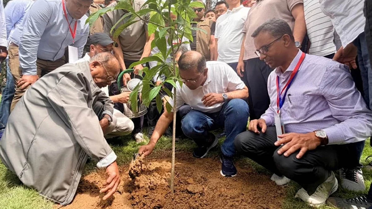 প্রধানমন্ত্রী দেশব্যাপী শিক্ষাপ্রতিষ্ঠানে বৃক্ষরোপণ কর্মসূচির উদ্বোধন করবেন আজ