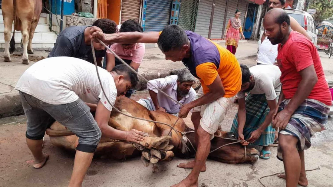 ঢাকায় ঈদের দ্বিতীয় দিনেও চলছে পশু কোরবানি