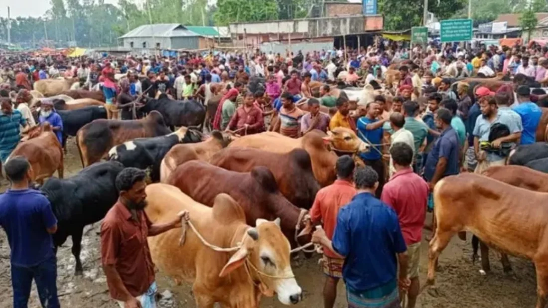 ঈদুল আজহার ছুটি ৭ দিন