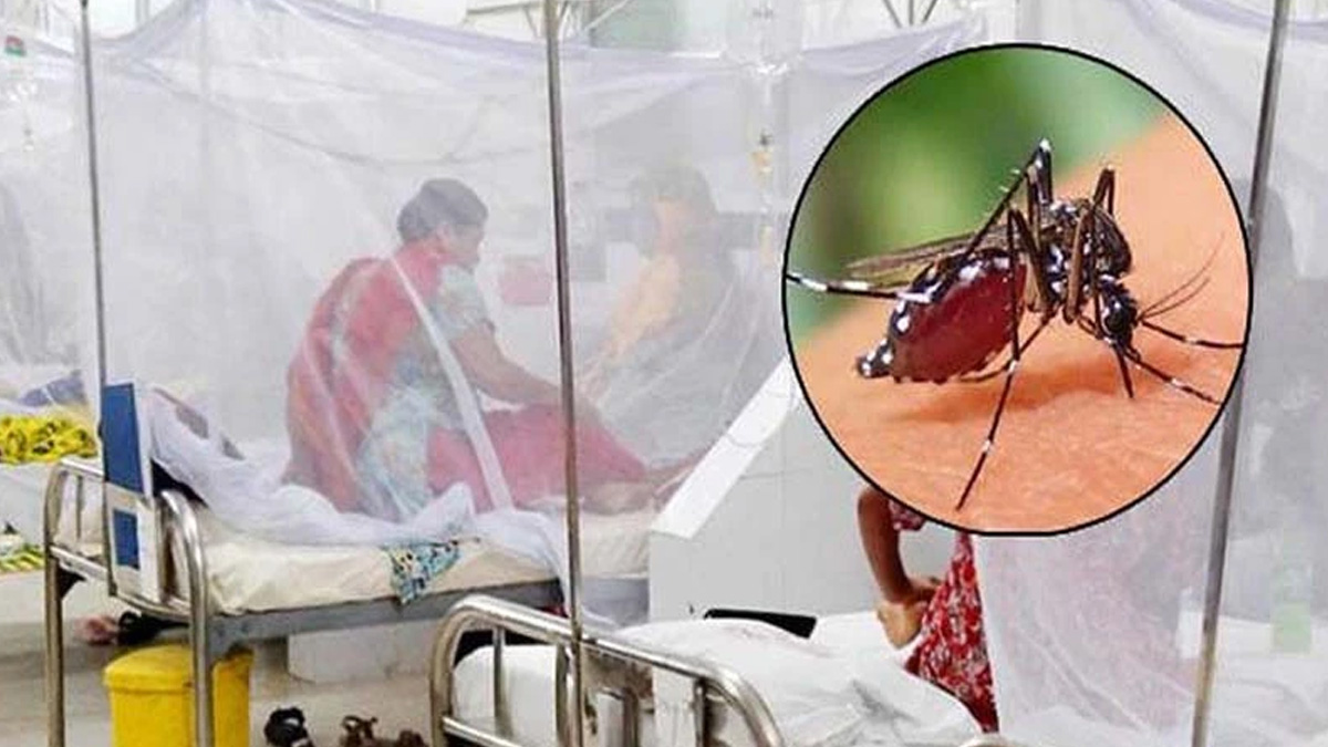 ডেঙ্গুতে আক্রান্ত হয়ে হাসপাতালে ২১৫৮ জন, মৃত্যু ৬