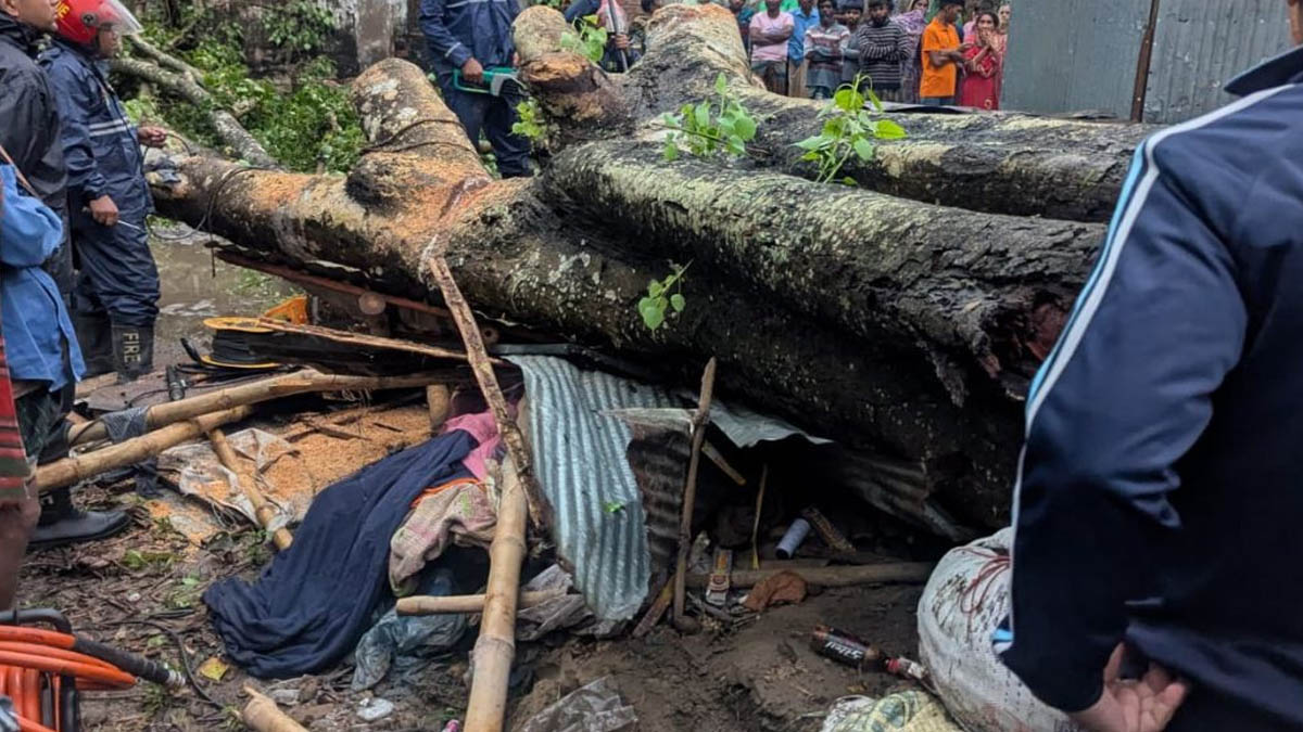 কালবৈশাখী ঝড়ে দোকান লণ্ডভণ্ড: গাছচাপায় ব্যবসায়ীর মৃত্যু