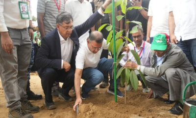 দেশব্যাপী ২৫ কোটি বৃক্ষরোপণ কর্মসূচির উদ্বোধন করলেন প্রধানমন্ত্রী