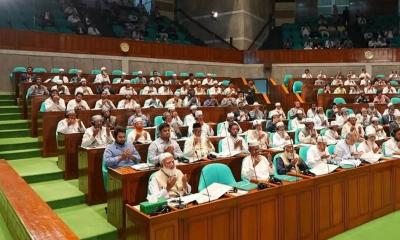 জামায়াতের নোট অব ডিসেন্ট : ১৩৩ অধ্যাদেশের ১৫টিতেই দ্বিমত