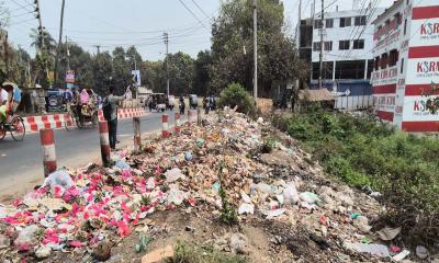 রাজবাড়ীতে মশার উপদ্রবে অতিষ্ঠ পৌর বাসিন্দারা, নির্বিকার কর্তৃপক্ষ