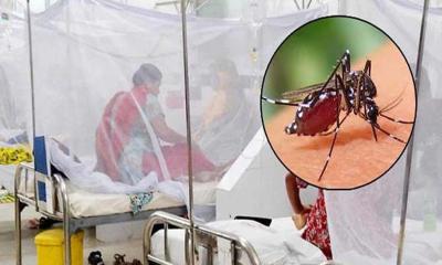 ডেঙ্গুতে আক্রান্ত হয়ে হাসপাতালে ২১৫৮ জন, মৃত্যু ৬