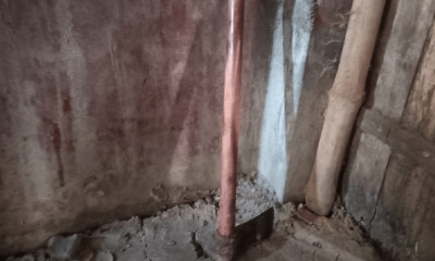 বিছানায় পড়ে ছিল স্বামীর গলাকাটা মরদেহ, স্ত্রী পলাতক