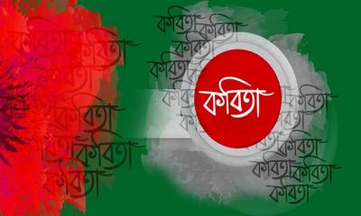 মুক্তিসেনার ডায়েরী