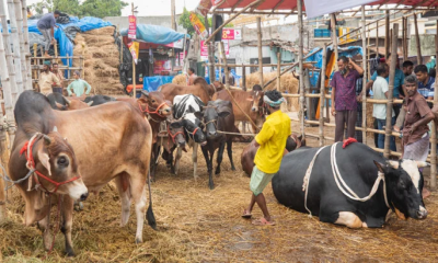 রাজধানীতে বসছে ২৬ অস্থায়ী হাট