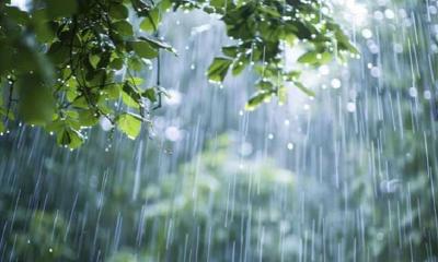 দেশজুড়ে বৃষ্টির আভাস জ্যেষ্ঠ প্রতিবেদক জ্যেষ্ঠ প্রতিবেদক