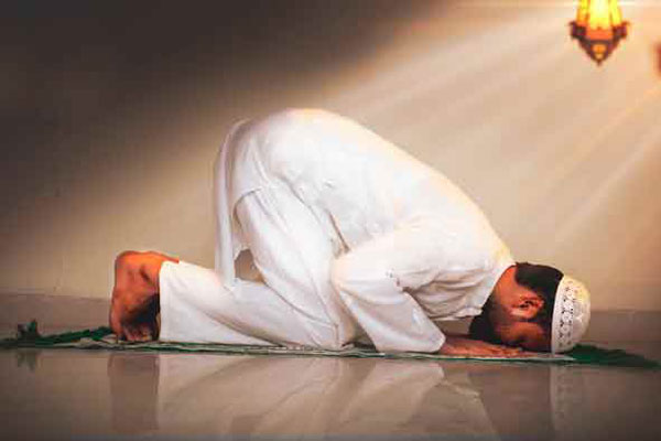 কোন ওয়াক্তের নামাজ কত রাকাআত?