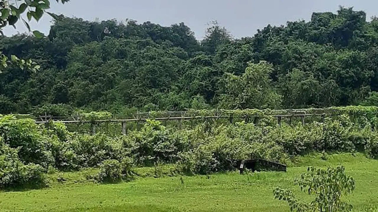 উখিয়া সীমান্তে মাইন বিস্ফোরণে উড়ে গেল যুবকের পা